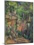 In the Park of Chateau Noir, circa 1896-99-Paul Cézanne-Mounted Giclee Print