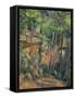 In the Park of Chateau Noir, circa 1896-99-Paul Cézanne-Framed Stretched Canvas