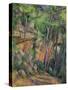 In the Park of Chateau Noir, circa 1896-99-Paul Cézanne-Stretched Canvas