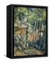 In the Park of Chateau Noir-Paul Cézanne-Framed Stretched Canvas