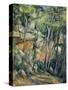 In the Park of Chateau Noir-Paul Cézanne-Stretched Canvas