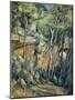 In the Park of Chateau Noir-Paul Cézanne-Mounted Giclee Print