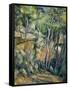 In the Park of Chateau Noir-Paul Cézanne-Framed Stretched Canvas