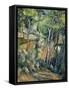 In the Park of Chateau Noir-Paul Cézanne-Framed Stretched Canvas