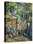 In the Park of Chateau Noir-Paul Cézanne-Stretched Canvas