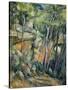 In the Park of Chateau Noir-Paul Cézanne-Stretched Canvas