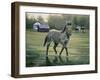 In the Pasture-Jenny Newland-Framed Giclee Print