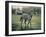 In the Pasture-Jenny Newland-Framed Giclee Print