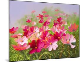 In The Pink-Mary Dipnall-Mounted Giclee Print