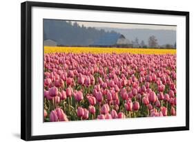 In the Pink-Dana Styber-Framed Photographic Print