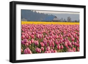 In the Pink-Dana Styber-Framed Photographic Print