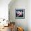 In the Pink-Jerzy Marek-Framed Giclee Print displayed on a wall