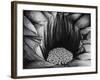 In the Pit IV, 1987-Evelyn Williams-Framed Giclee Print