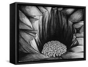 In the Pit IV, 1987-Evelyn Williams-Framed Stretched Canvas