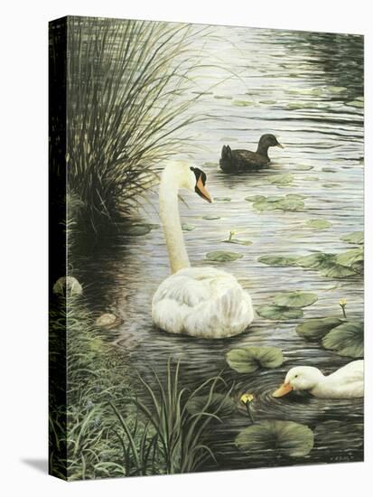In the Pond-Kevin Dodds-Stretched Canvas