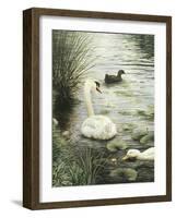 In the Pond-Kevin Dodds-Framed Giclee Print