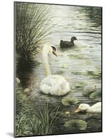 In the Pond-Kevin Dodds-Mounted Giclee Print