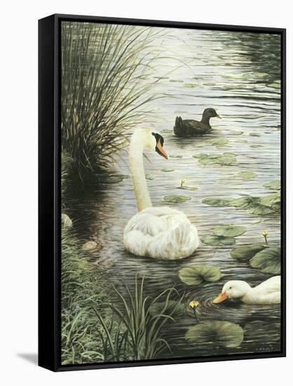 In the Pond-Kevin Dodds-Framed Stretched Canvas