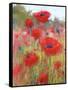 In the Poppy Field-Karen Margulis-Framed Stretched Canvas