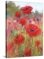 In the Poppy Field-Karen Margulis-Stretched Canvas