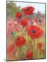 In the Poppy Field-Karen Margulis-Mounted Art Print