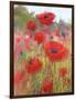 In the Poppy Field-Karen Margulis-Framed Art Print