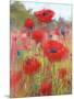 In the Poppy Field-Karen Margulis-Mounted Art Print