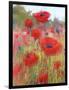 In the Poppy Field-Karen Margulis-Framed Art Print