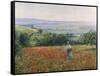 In the Poppy Field-Leon Giran-max-Framed Stretched Canvas