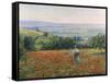 In the Poppy Field-Leon Giran-max-Framed Stretched Canvas