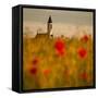 In the poppy fields-Robert Adamec-Framed Stretched Canvas