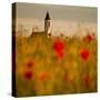 In the poppy fields-Robert Adamec-Stretched Canvas