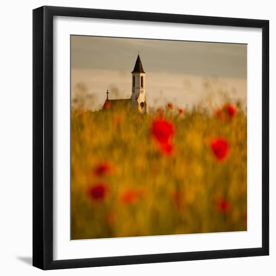 In the poppy fields-Robert Adamec-Framed Photographic Print