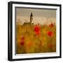 In the poppy fields-Robert Adamec-Framed Photographic Print