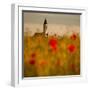 In the poppy fields-Robert Adamec-Framed Photographic Print