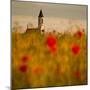 In the poppy fields-Robert Adamec-Mounted Photographic Print