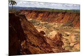 In the Red Tsingy Area, Close to Diego Suarez Bay, Northern Madagascar, Africa-Olivier Goujon-Mounted Photographic Print