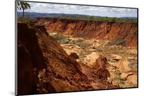 In the Red Tsingy Area, Close to Diego Suarez Bay, Northern Madagascar, Africa-Olivier Goujon-Mounted Photographic Print