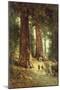 In the Redwoods, 1899-Thomas Hill-Mounted Giclee Print