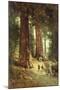 In the Redwoods, 1899-Thomas Hill-Mounted Giclee Print