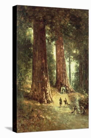 In the Redwoods, 1899-Thomas Hill-Stretched Canvas