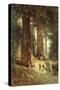 In the Redwoods, 1899-Thomas Hill-Stretched Canvas