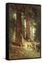 In the Redwoods, 1899-Thomas Hill-Framed Stretched Canvas