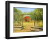 In The Rose Garden-kirilstanchev-Framed Art Print