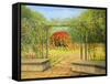 In The Rose Garden-kirilstanchev-Framed Stretched Canvas