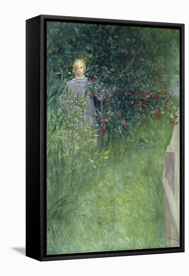 In the Rose Hip Hedge-Carl Larsson-Framed Stretched Canvas