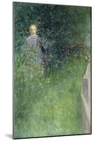In the Rose Hip Hedge-Carl Larsson-Mounted Giclee Print