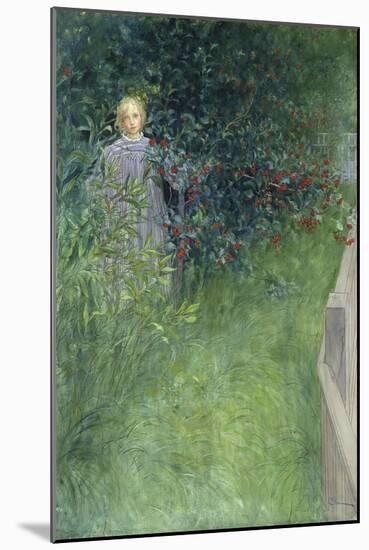 In the Rose Hip Hedge-Carl Larsson-Mounted Giclee Print