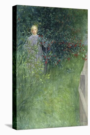 In the Rose Hip Hedge-Carl Larsson-Stretched Canvas