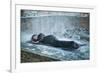 In the Ruins-Michalina Wozniak-Framed Photographic Print